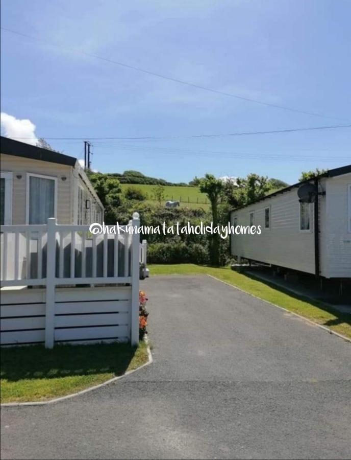 Hakuna Matata Holiday Home New Quay Eksteriør bilde