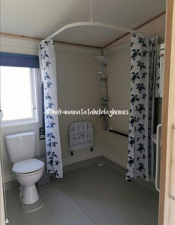 Hakuna Matata Holiday Home New Quay Eksteriør bilde